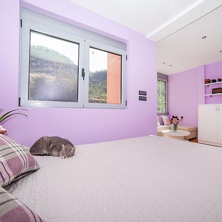 Apartments Princess View سفيتي ستيفان المظهر الخارجي الصورة